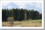 Panorama 2