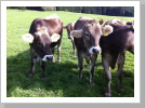 Unsere Nachbarn