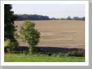 Blick aus Schlafzimmerfenster Blick aus Schlafzimmerfenster