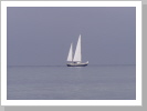 Weisse Segel am Horizont
